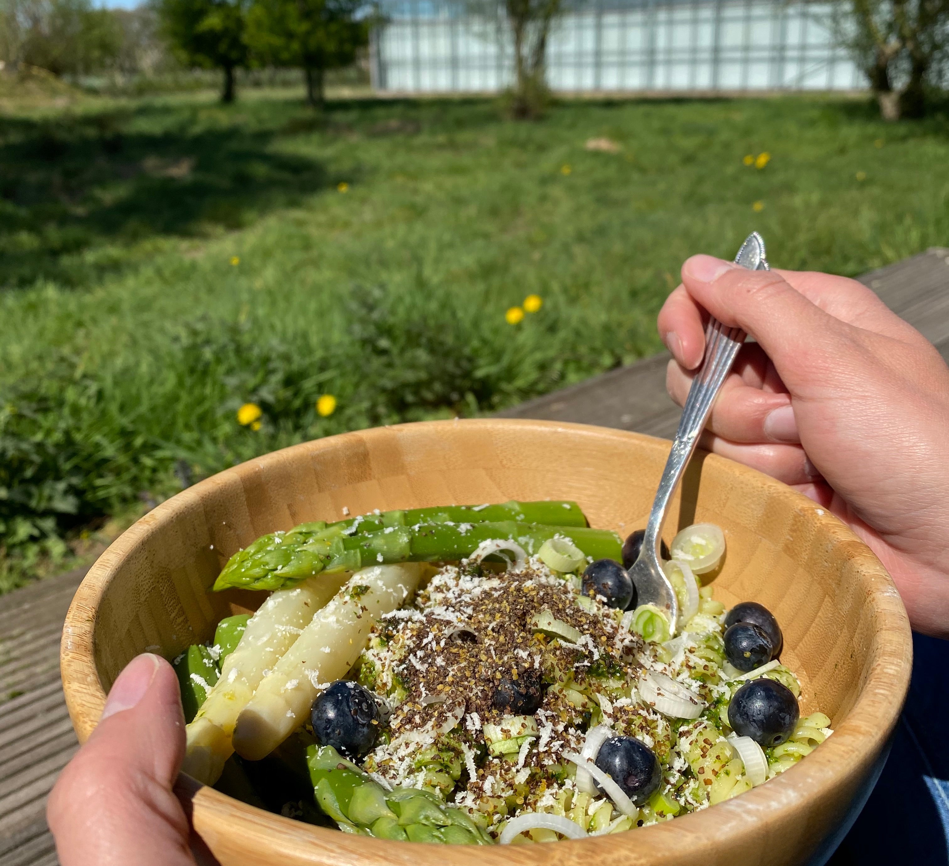 Bärlauchpesto, Spargel und Wildkohl auf der Algenfarm